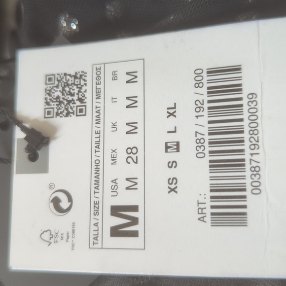 Zara Tulle Silver Dot Swiss Dress - Picture 15 of 16